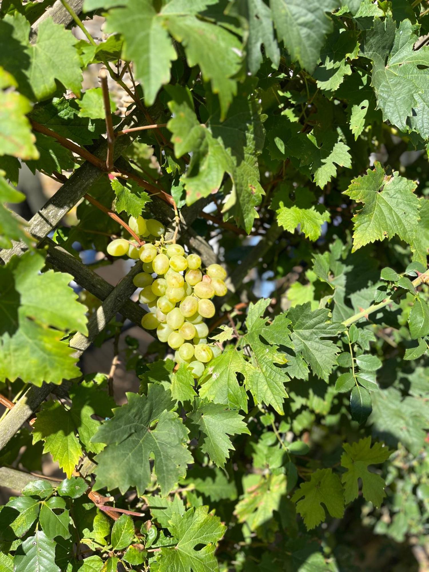 Halte vendéenne atypique Saint-Germain-l'Aiguiller Esterno foto